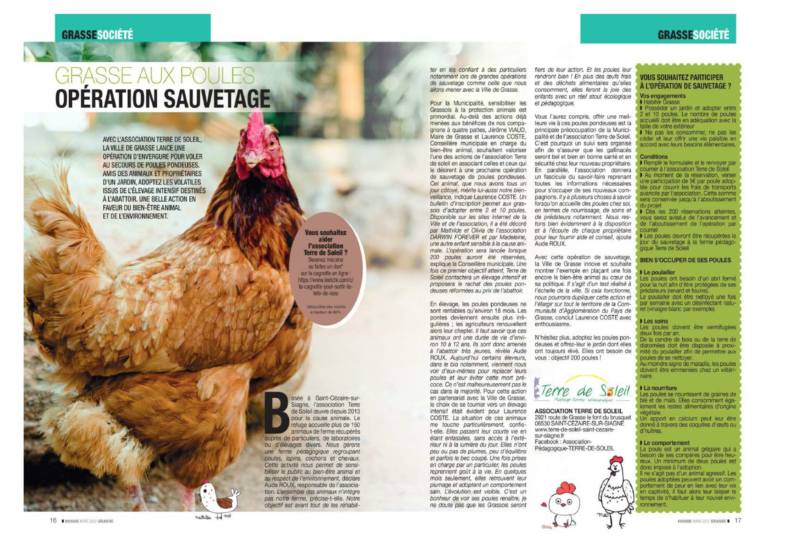 Article Grasse aux poules